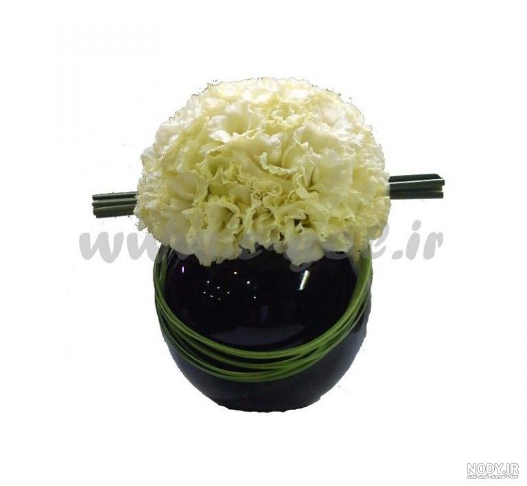 عکس گل تینا