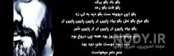 فیلم گلشیفته با بازی نازنین بیاتی