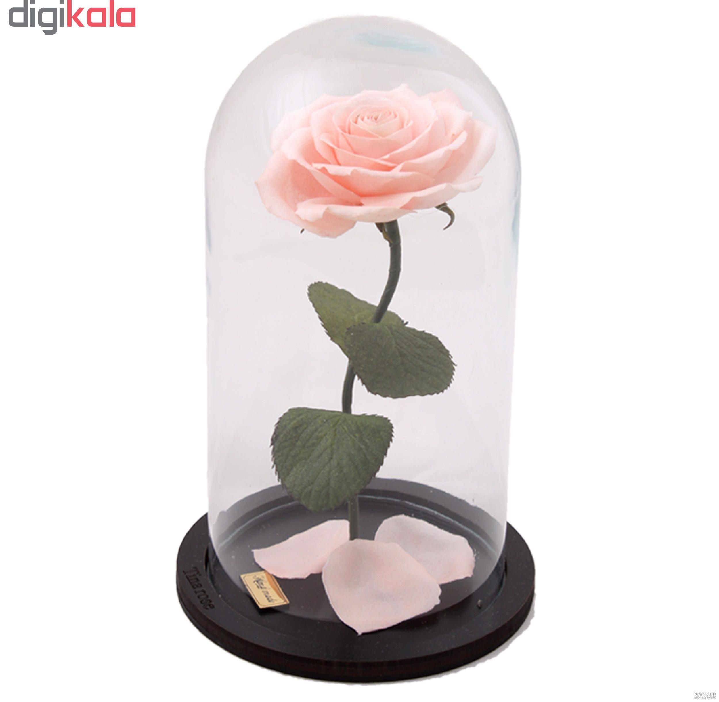 متن اسم تینا