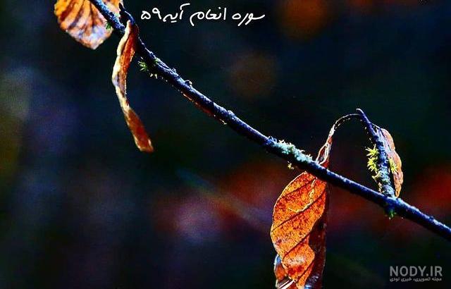 متن خدایا پناهم باش متن خدایا پناهم باش