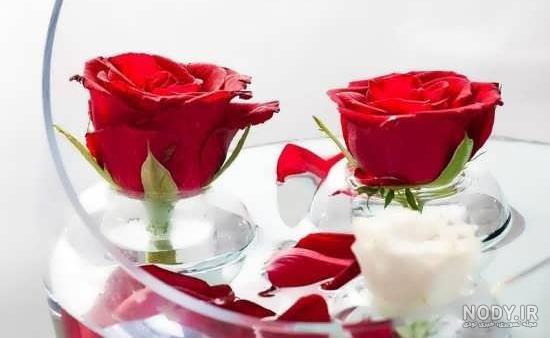 مناظر گلهای زیبا مناظر گلهای زیبا