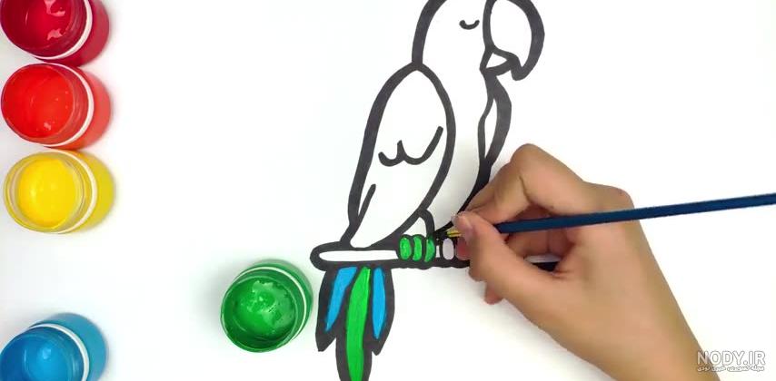 نقاشی طوطی برزیلی نقاشی طوطی برزیلی