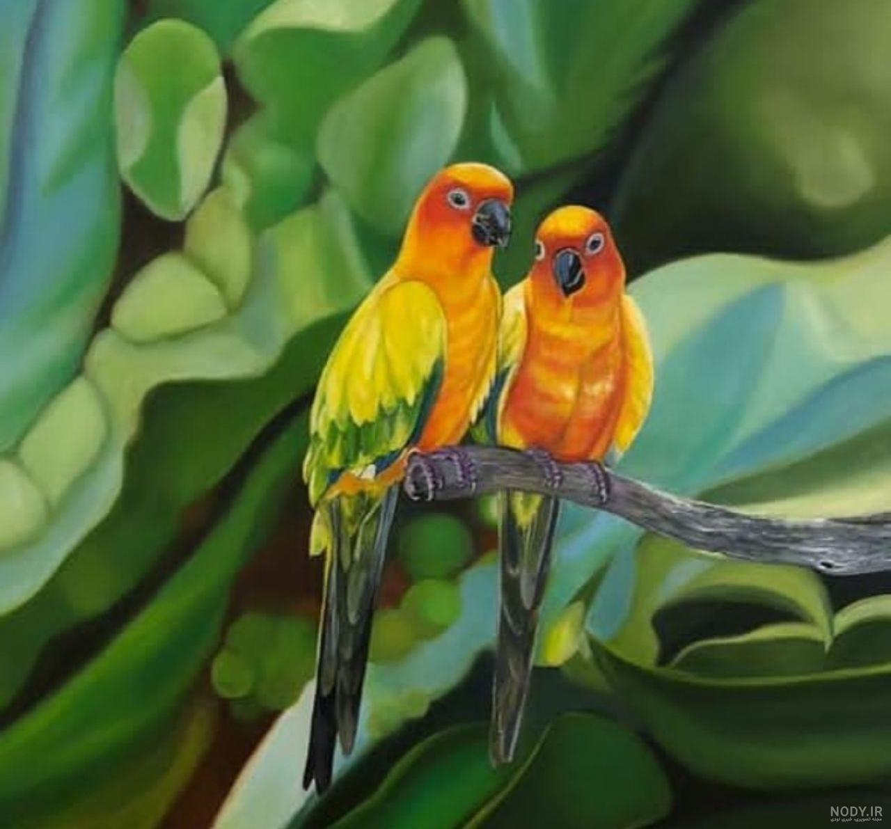 نقاشی عروس هلندی ساده نقاشی عروس هلندی ساده