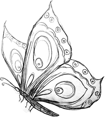 نقاشی پروانه ساده نقاشی پروانه ساده