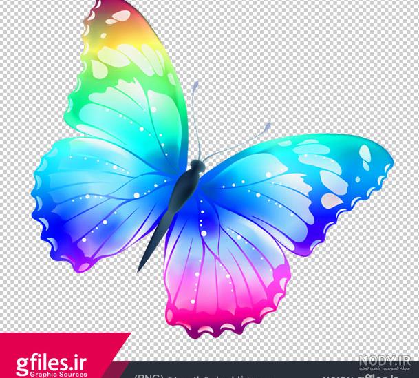 نقاشی پروانه فانتزی نقاشی پروانه فانتزی