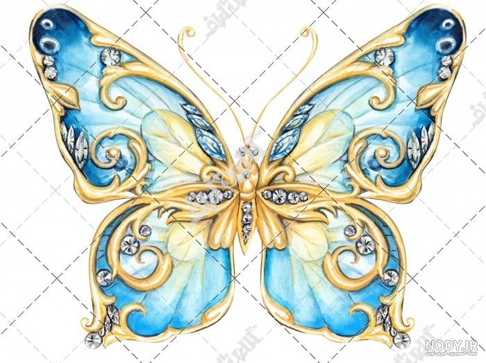 نقاشی پروانه گام به گام نقاشی پروانه گام به گام