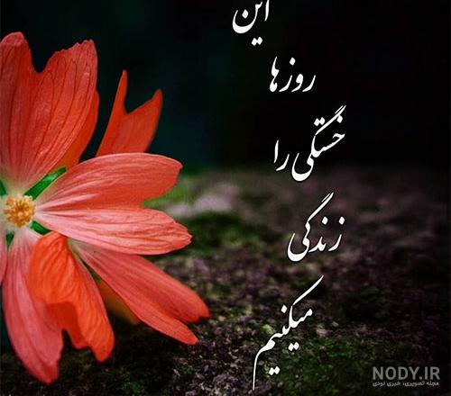 پروفایل آموزنده زندگی