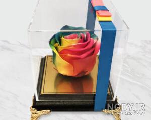 گل رز جاودان قلبی