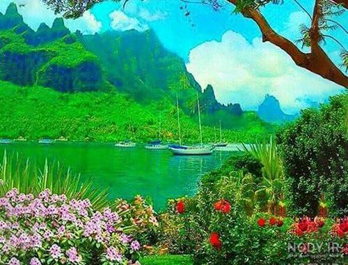 دانلود زیباترین عکسهای طبیعت