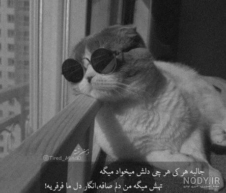 عکس دخترانه جذاب و شیک