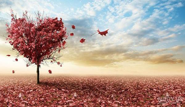 عکس طبیعت عاشقانه جدید