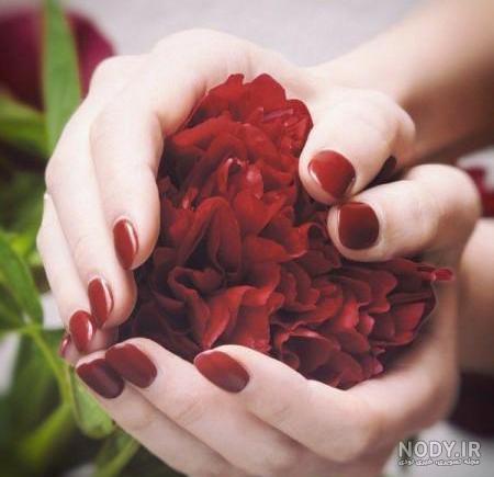 عکس پروفایل عاشقانه گل وقلب