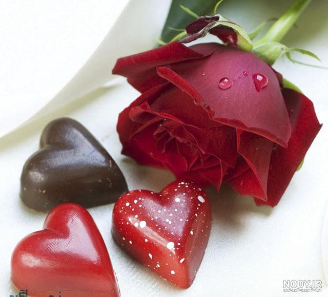 عکس پروفایل گل و عاشقانه
