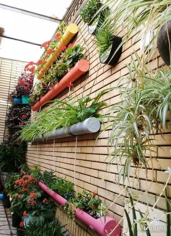 الگوی کشاورزی هلند