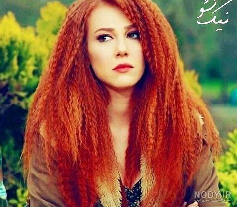 بیوگرافی باریش اردوچ