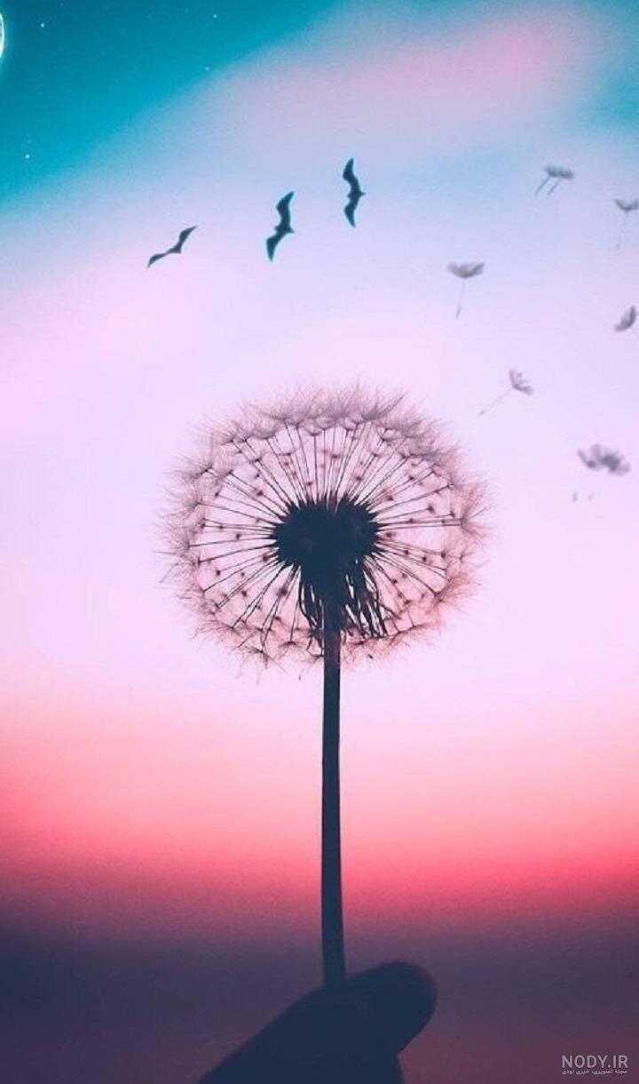 تصویر زمینه زیبا