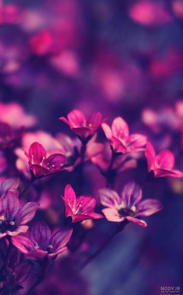 دانلود تصویر زمینه ساده