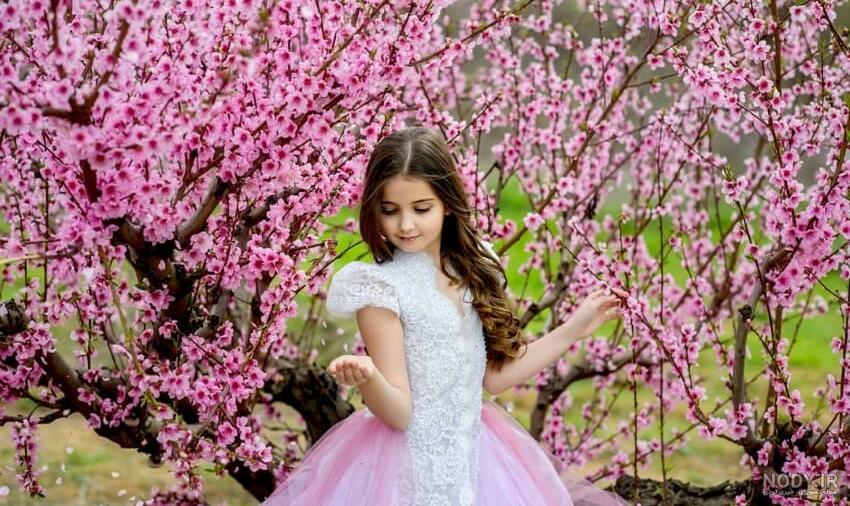 دانلود عکس بهار دانلود عکس بهار