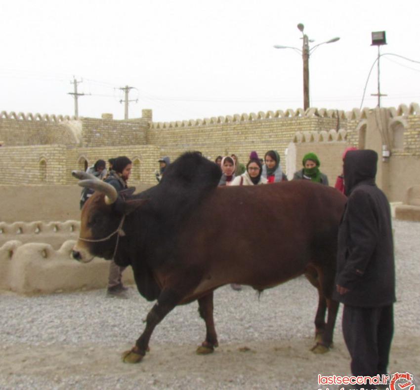 روش کندن چاه اب دستی روش کندن چاه اب دستی