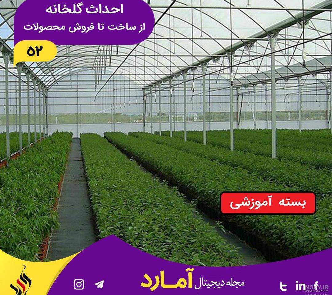 طرح توجیهی گلخانه 1000متری