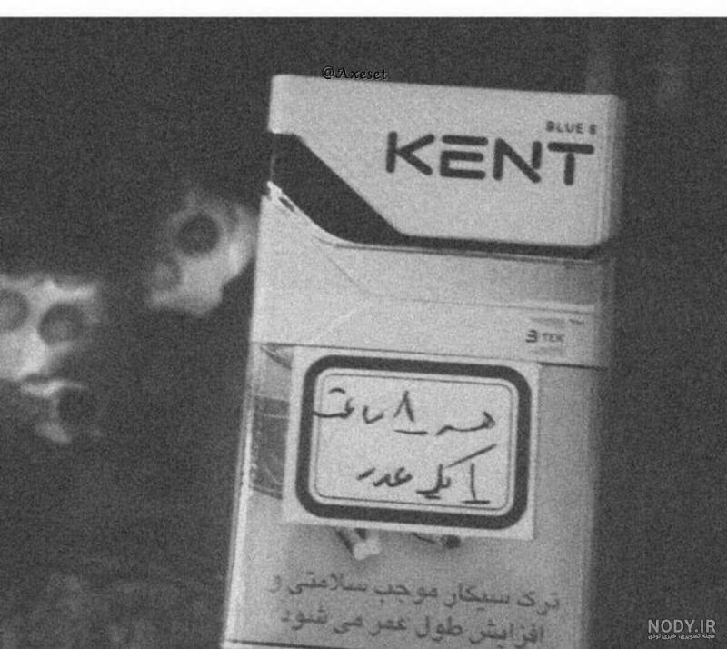 عکس دپ شاخ بدون متن