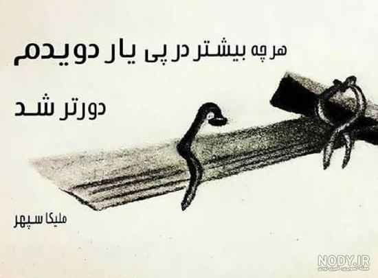 عکس دپ شاخ بدون متن
