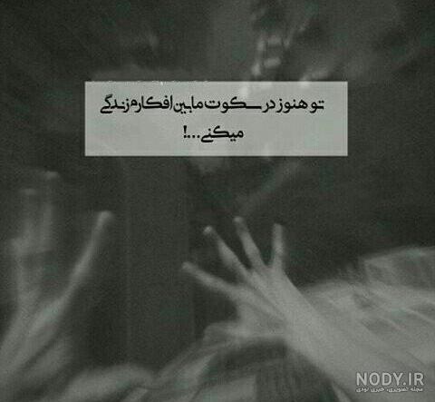 عکس دپ شاخ بدون متن