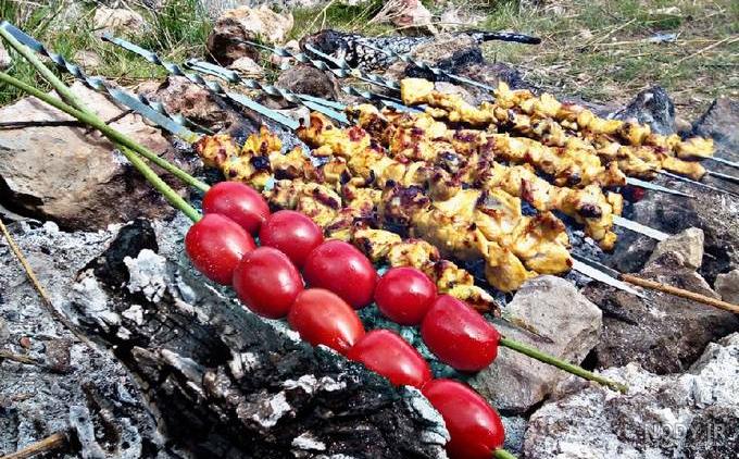 عکس غذا تو طبیعت عکس غذا تو طبیعت