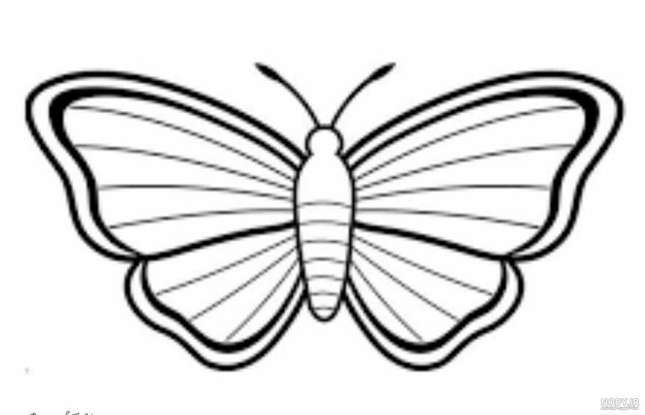 عکس نقاشی پروانه ساده