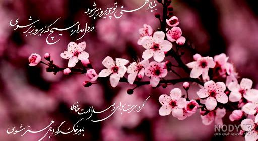 عکس نوشته درباره شکوفه
