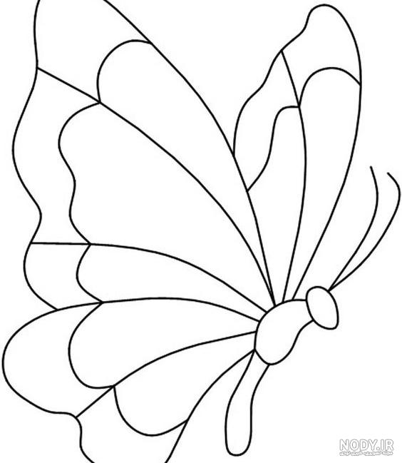 عکس پروانه ساده کودکانه