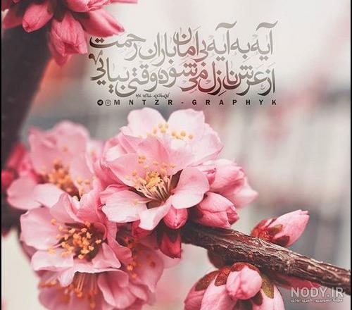 عکس پروفایل حضرت مهدی عج عکس پروفایل حضرت مهدی عج
