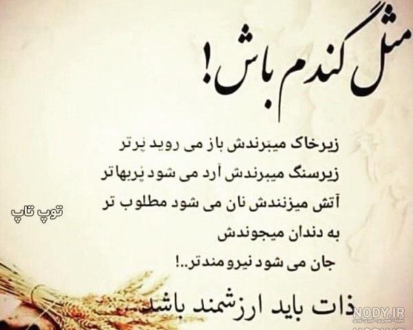 عکس پروفایل درباره ذات خراب