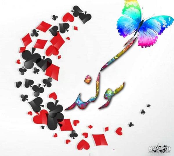 عکس پسر سوگند خواننده عکس پسر سوگند خواننده