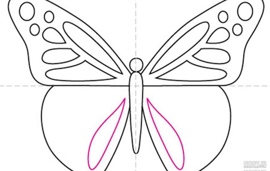عکس یک پروانه ساده