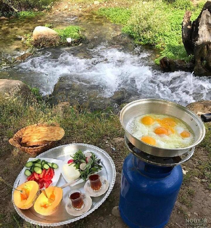 غذای مناسب سفر یک روزه غذای مناسب سفر یک روزه