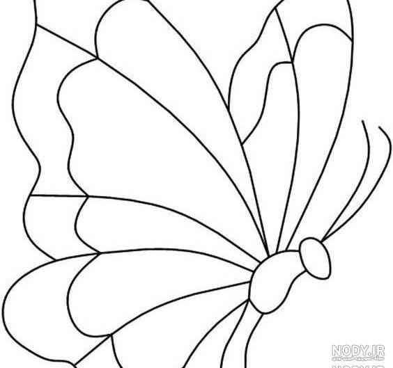 نقاشی پروانه قشنگ