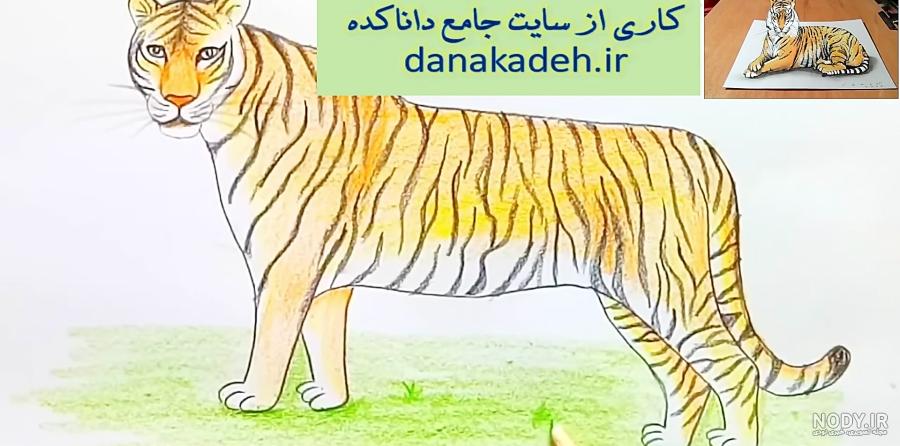 نقاشی پلنگ سیاه قلم