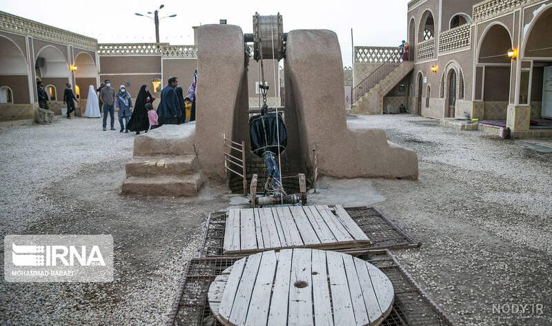گاو کوهان دار گاو کوهان دار