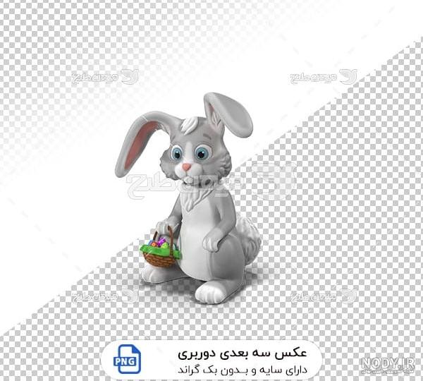 عکس خرگوش پشمالو عکس خرگوش پشمالو