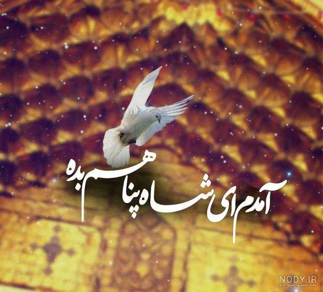 پروفایل رضا جانم تولدت مبارک