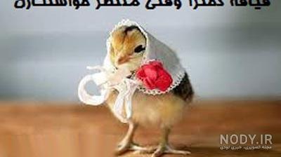 پروفایل ضد حال به دخترا پروفایل ضد حال به دخترا