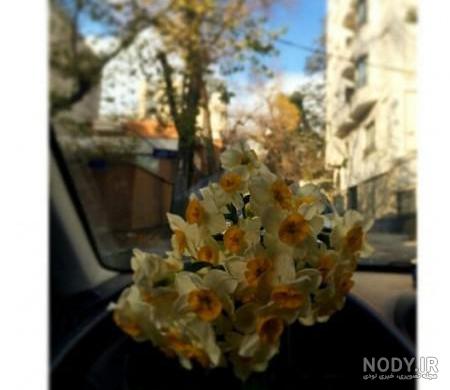 عکس خفن عکس ولنتاین تو ماشین