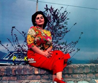 بیوگرافی رضا درفشان
