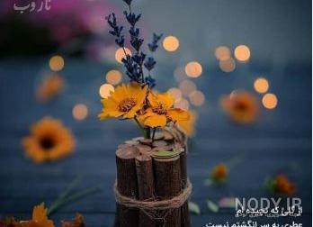 تصاویر زیبا و آرامش دهنده