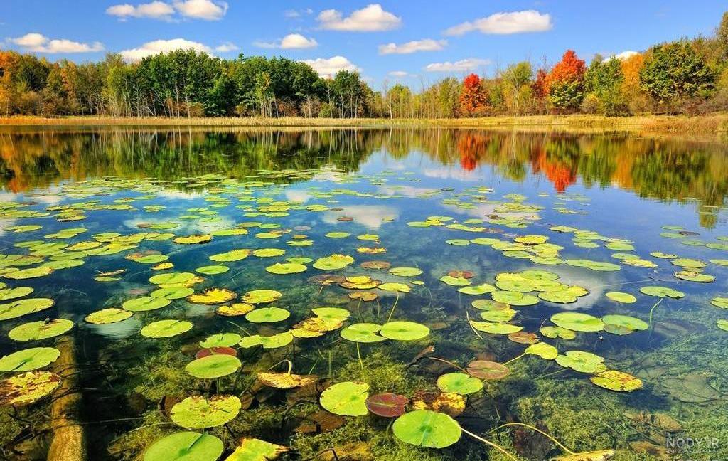 جاذبه طبیعی ایران جاذبه طبیعی ایران