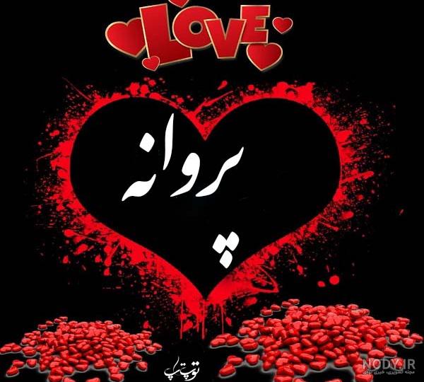 شعر پروانه از مولانا شعر پروانه از مولانا