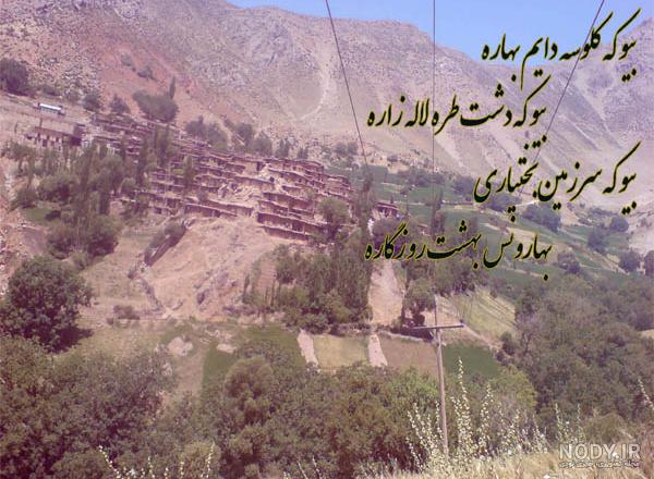 صالح کوچوالی