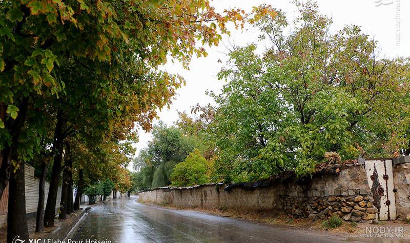 عکس باران شیراز