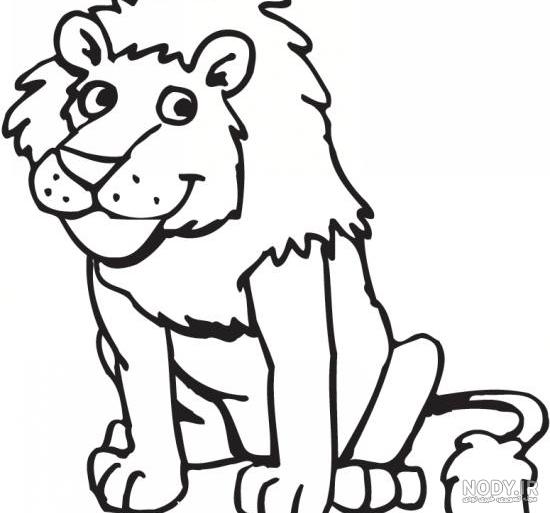 عکس شیر برای نقاشی عکس شیر برای نقاشی
